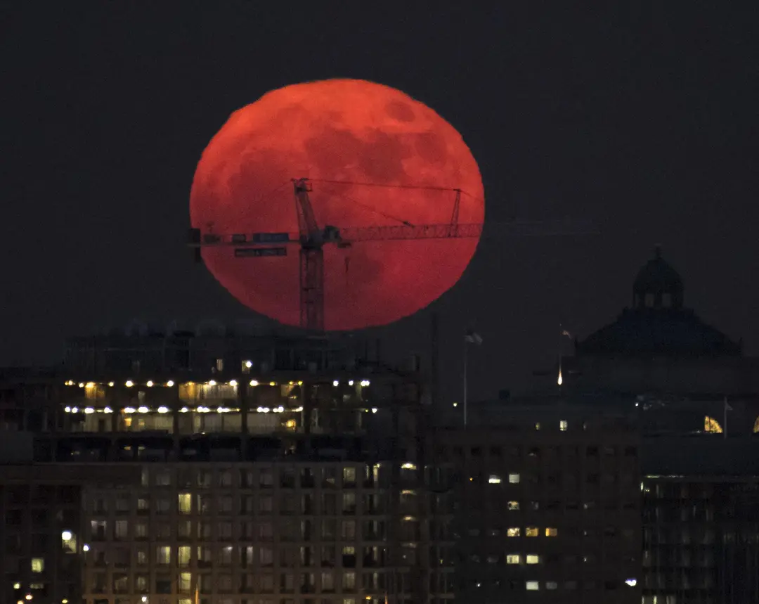 Bulan purnama besar rendah di langit